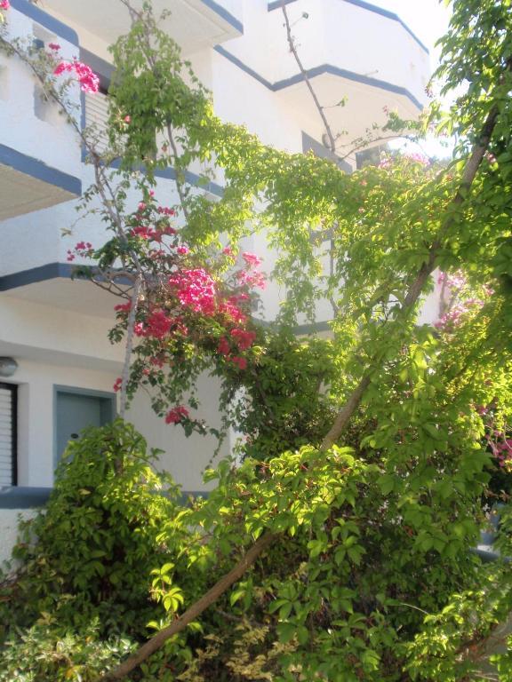 Fevro Hotel Агиа Галини Номер фото