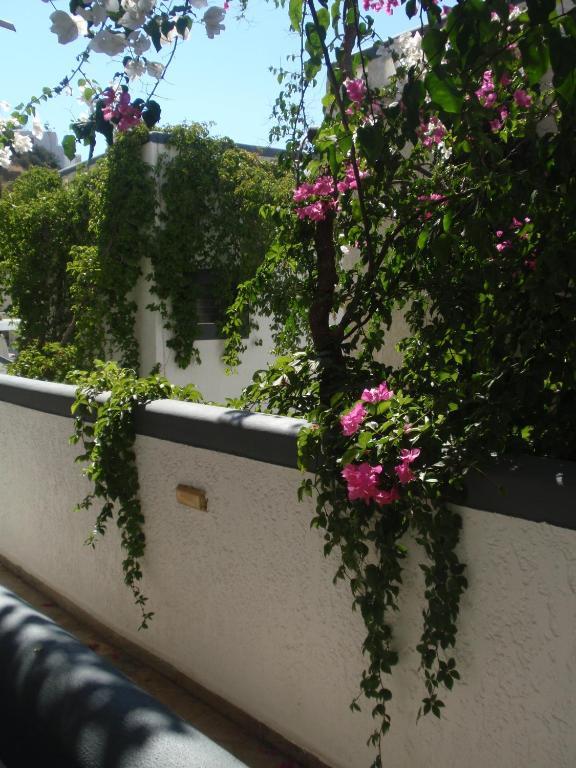 Fevro Hotel Агиа Галини Номер фото